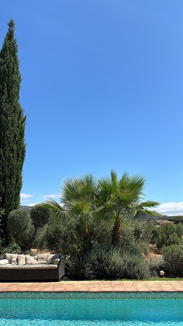 Exterior - La Guzmana de Ronda (Ronda)