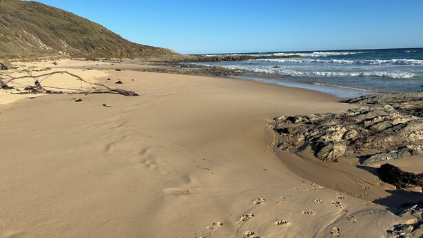 Una playa arenosa con huellas, costa rocosa y olas.