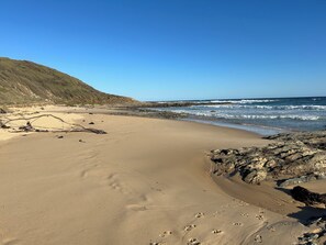 Beach - Bemm River Bungalows #5 “Deckhands Den” (Bemm River)