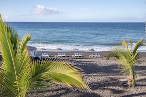 Ein Strand mit Palmen, sandigem Ufer und einer Reihe Liegestühle.