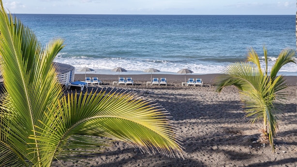 A beach with palm trees, a sandy shore, and a row of beach chairs. - Apartment 'Playa Delphin 105' with Sea View, Balcony and Wi-Fi (Puerto de Naos)