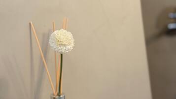 Douche, sĂšche-cheveux, serviettes fournies, savon