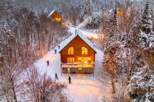 Ours / Ski-in/out / Parc Appalaches / 16 Invités