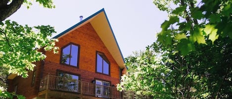 Ulkopuoli