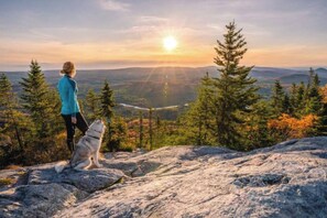 Unclassified image, 4 of 38, button