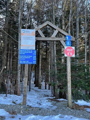 Unclassified image, 5 of 38, button