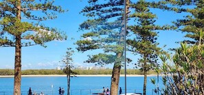 Beach/ocean view - Cerulean Beachfront - Unit 1 (Sunshine Coast)