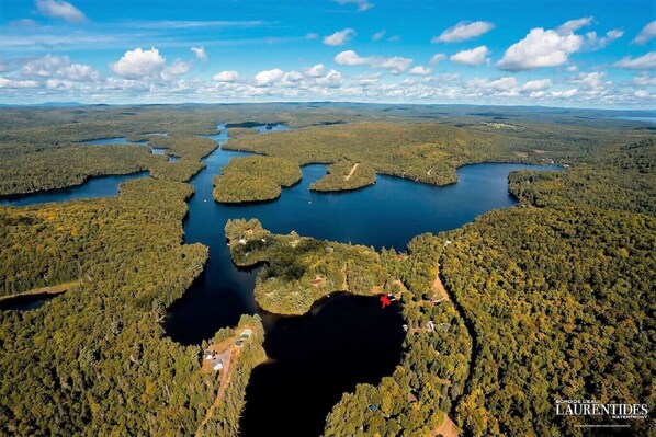 Unclassified image, 1 of 68, button