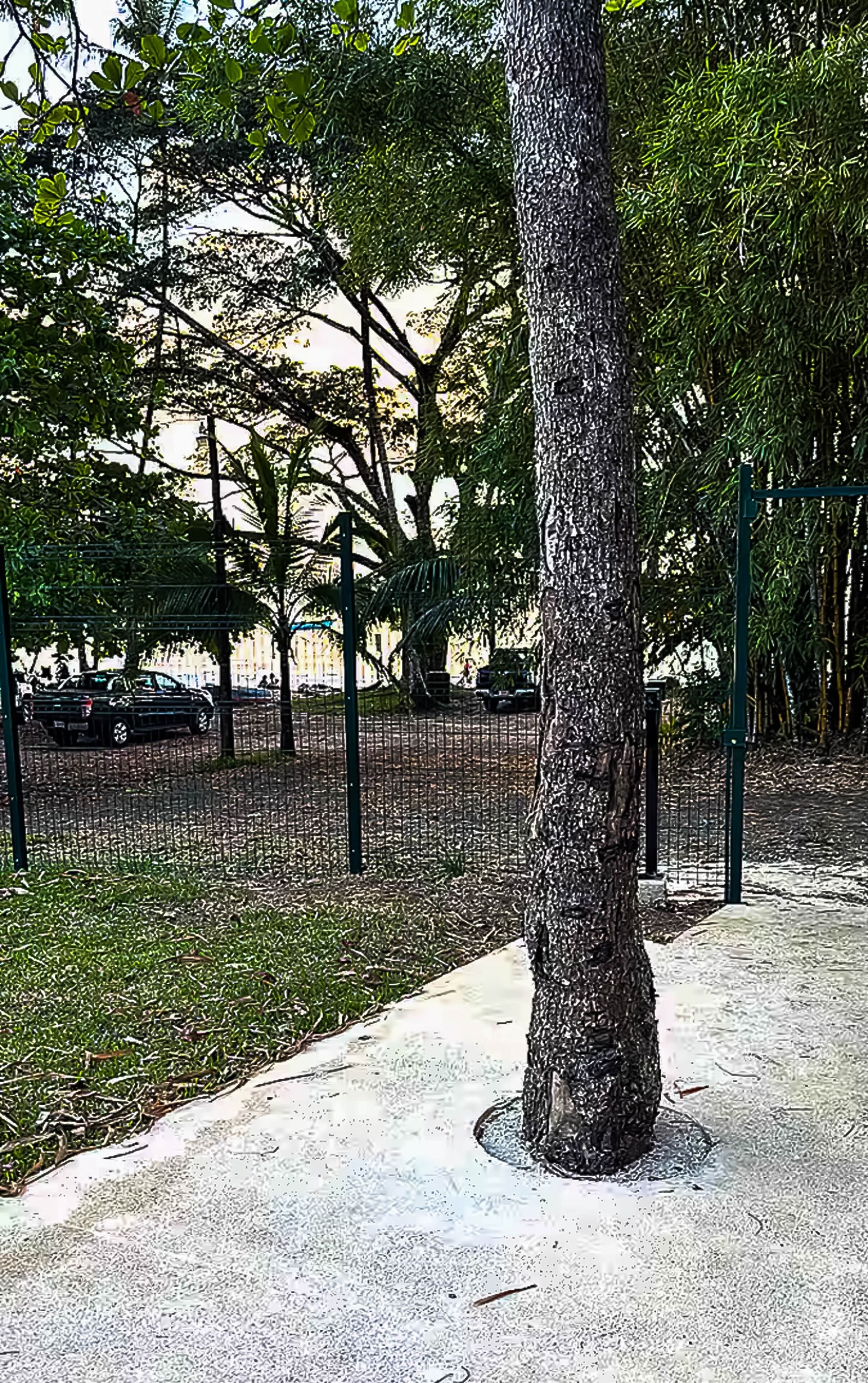 Jardines del alojamiento