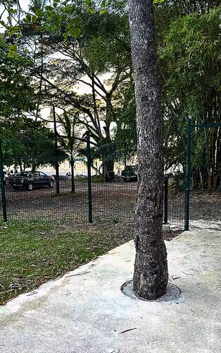 Ocean View Apt | Beach Club | Playa Mantas