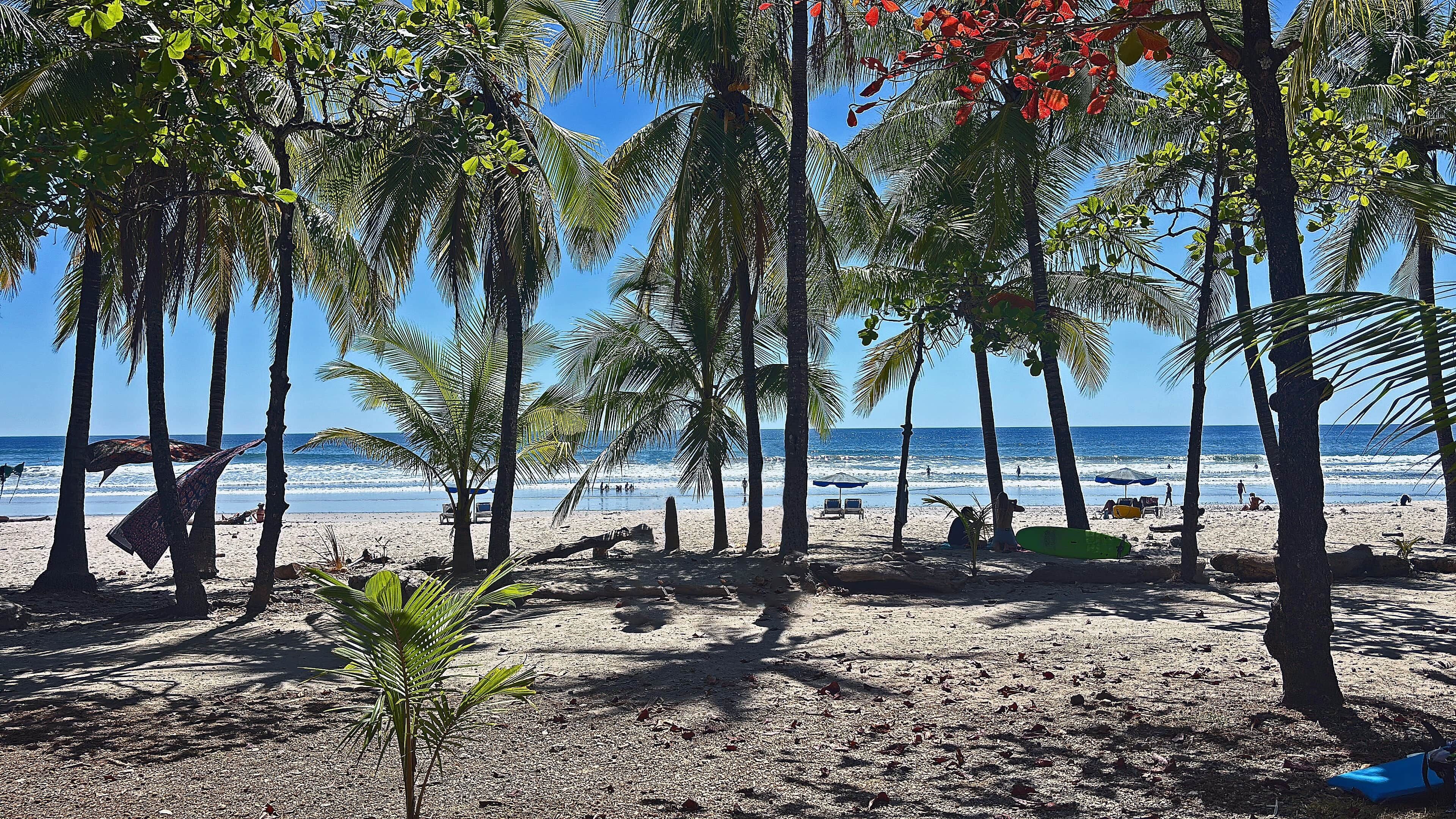 Une plage bordée de palmiers, une étendue de sable et l’océan en toile de fond.