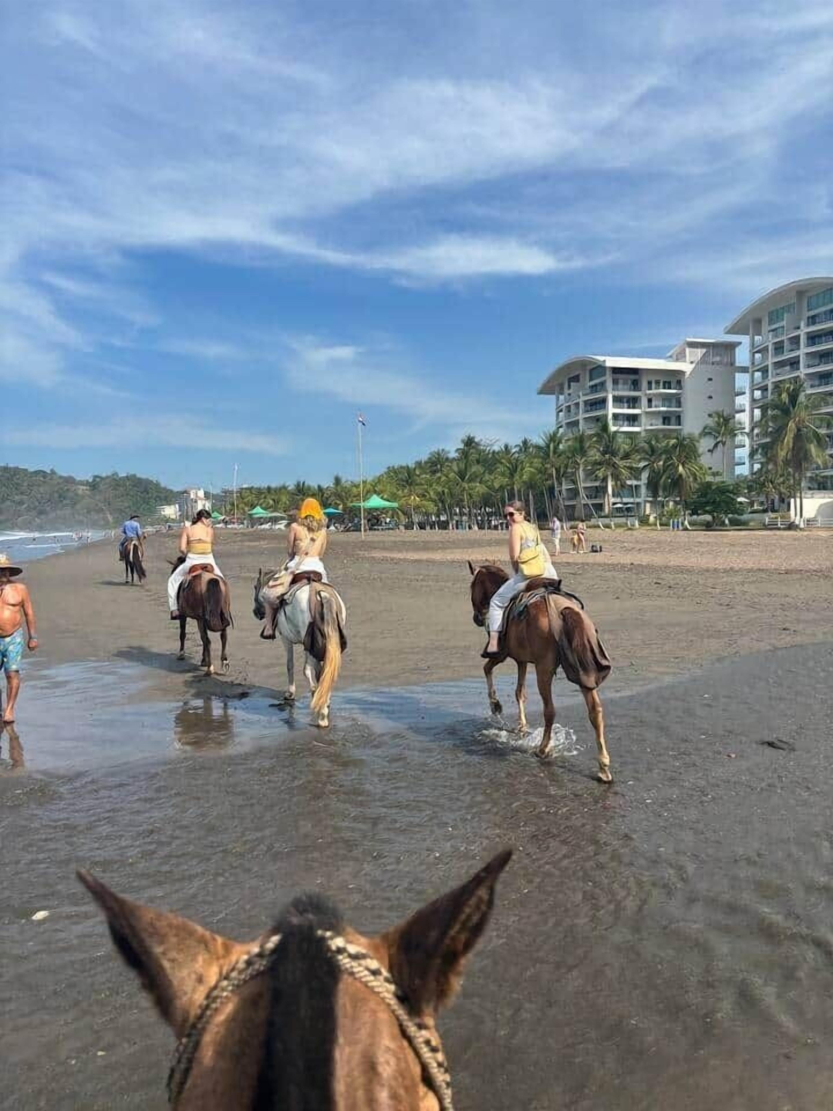 Plage, serviettes de plage