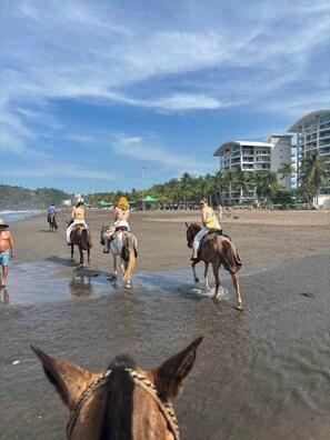 On the beach, beach towels - Playa Mantas | 7th Floor | Sea View | Beach Access (Punta Leona)