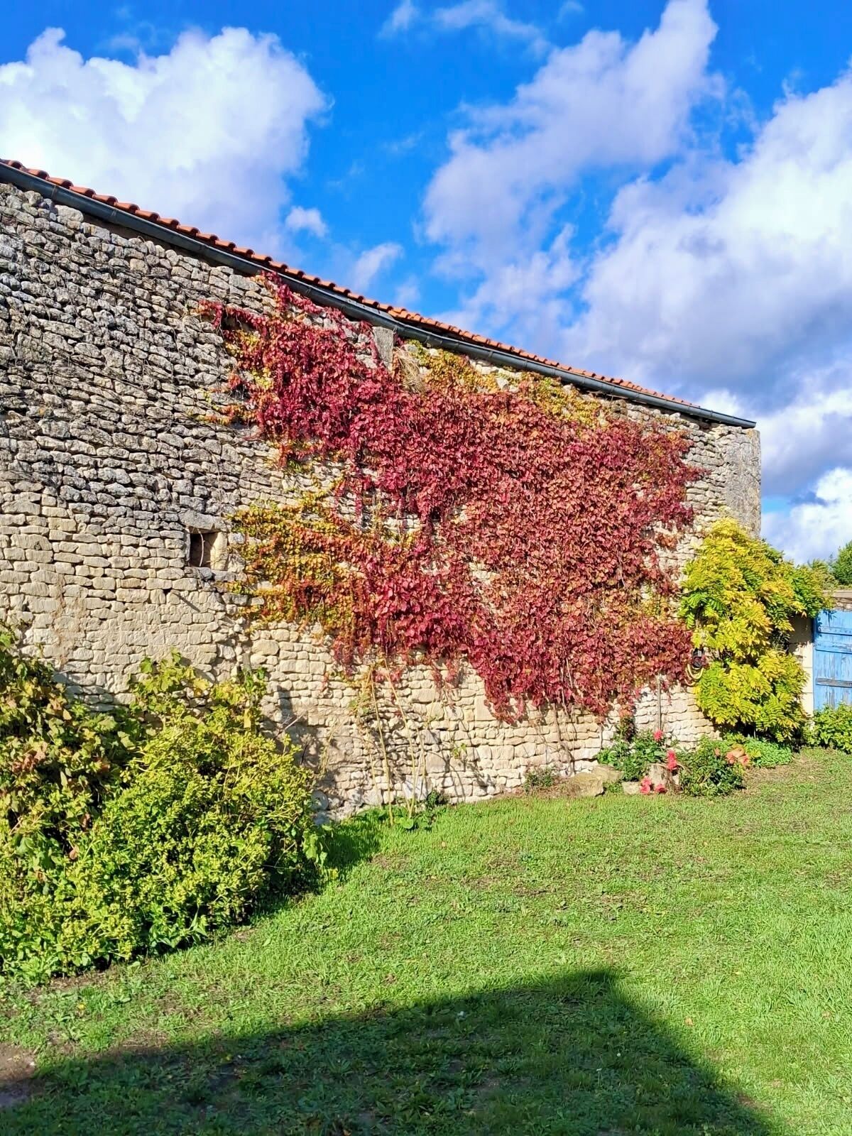 A stone building with a tiled roof and ivy-covered walls.