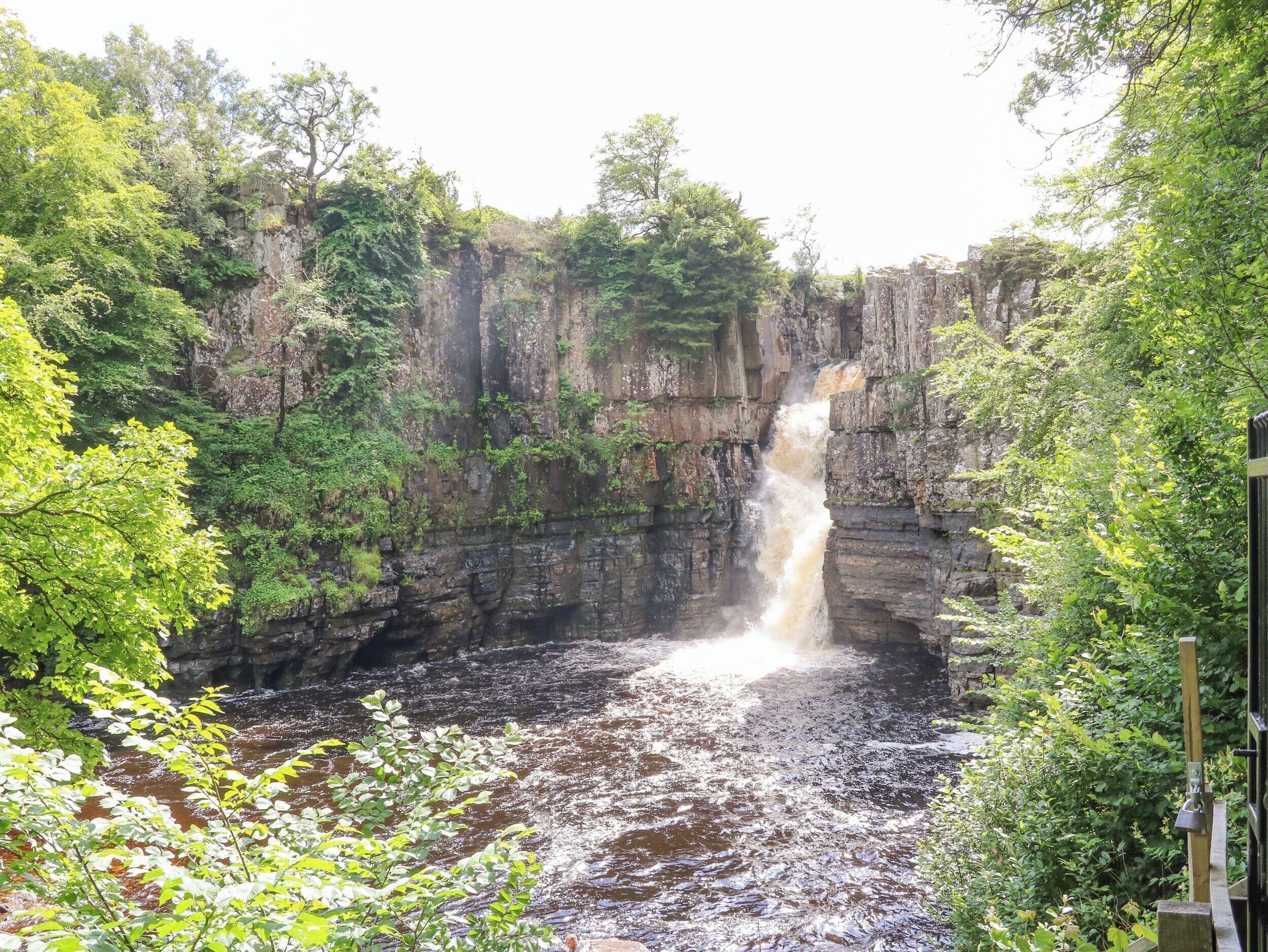 A waterfall cascading down a rocky cliff surrounded by lush greenery.