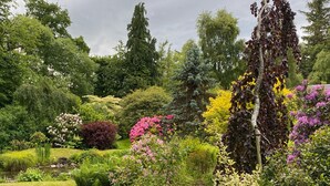 A lush garden with a variety of flowering plants and trees. - Cosy Cottage set in lovely gardens, 2 miles east of the seaside town of Nairn (Auldearn)