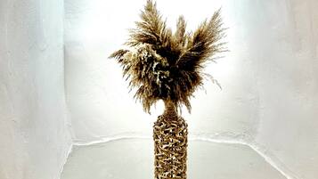 Coffres-forts dans les chambres, chambres insonorisées, Wi-Fi gratuit