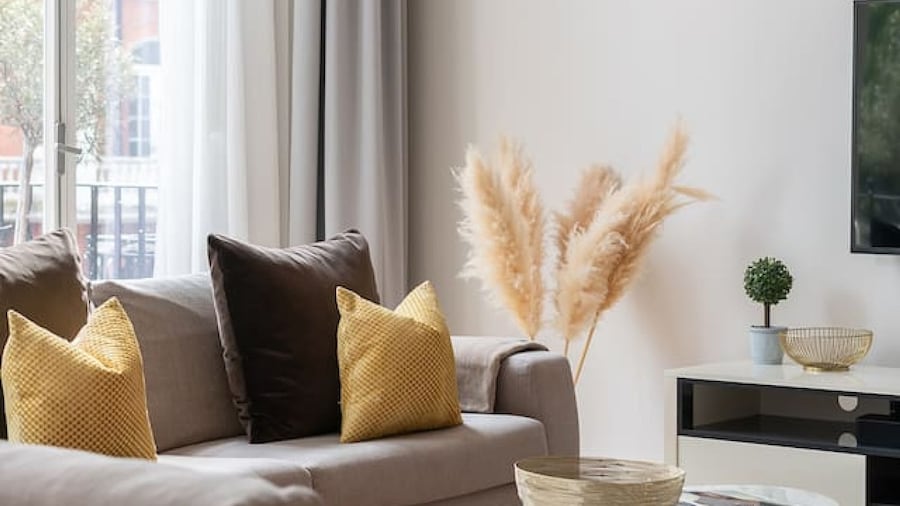 Presidential Residence 14ft High Ceilings