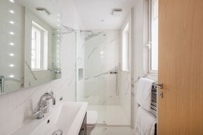 House - Presidential Residence 14ft High Ceilings (London)