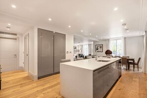 House - Large Mayfair Home Huge Terrace Concierge (London)