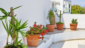 Una azotea con plantas en macetas, un edificio blanco y un cielo despejado.