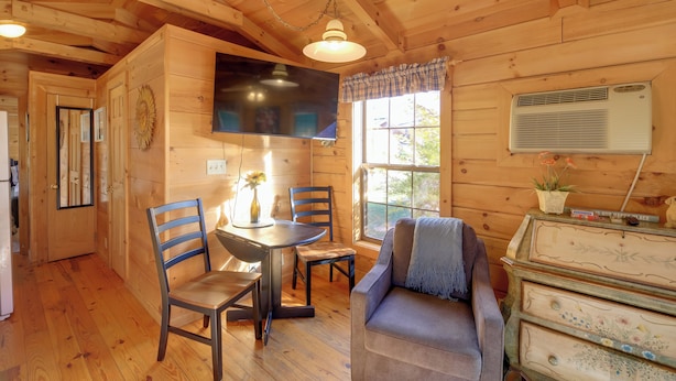 A cozy wooden cabin interior with a dining area, a sofa, and a television. - Pet-friendly Damascus Cabin w/ Deck & Mtn Views! (Damascus)