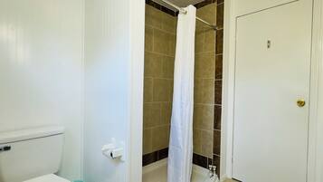 A bathroom with a toilet, shower, and a door.