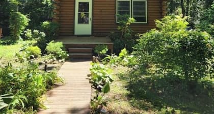 Cozy Cabin 15 Min to Ski & Ohiopyle Trails