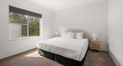 Bush to Bay: Nature, Surf Beach & Wineries