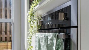 Une cuisine avec un four en acier inoxydable, une plante suspendue et un torchon vert.