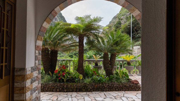 Un sendero de piedra que conduce a un exuberante jardín con palmeras y diversas plantas.