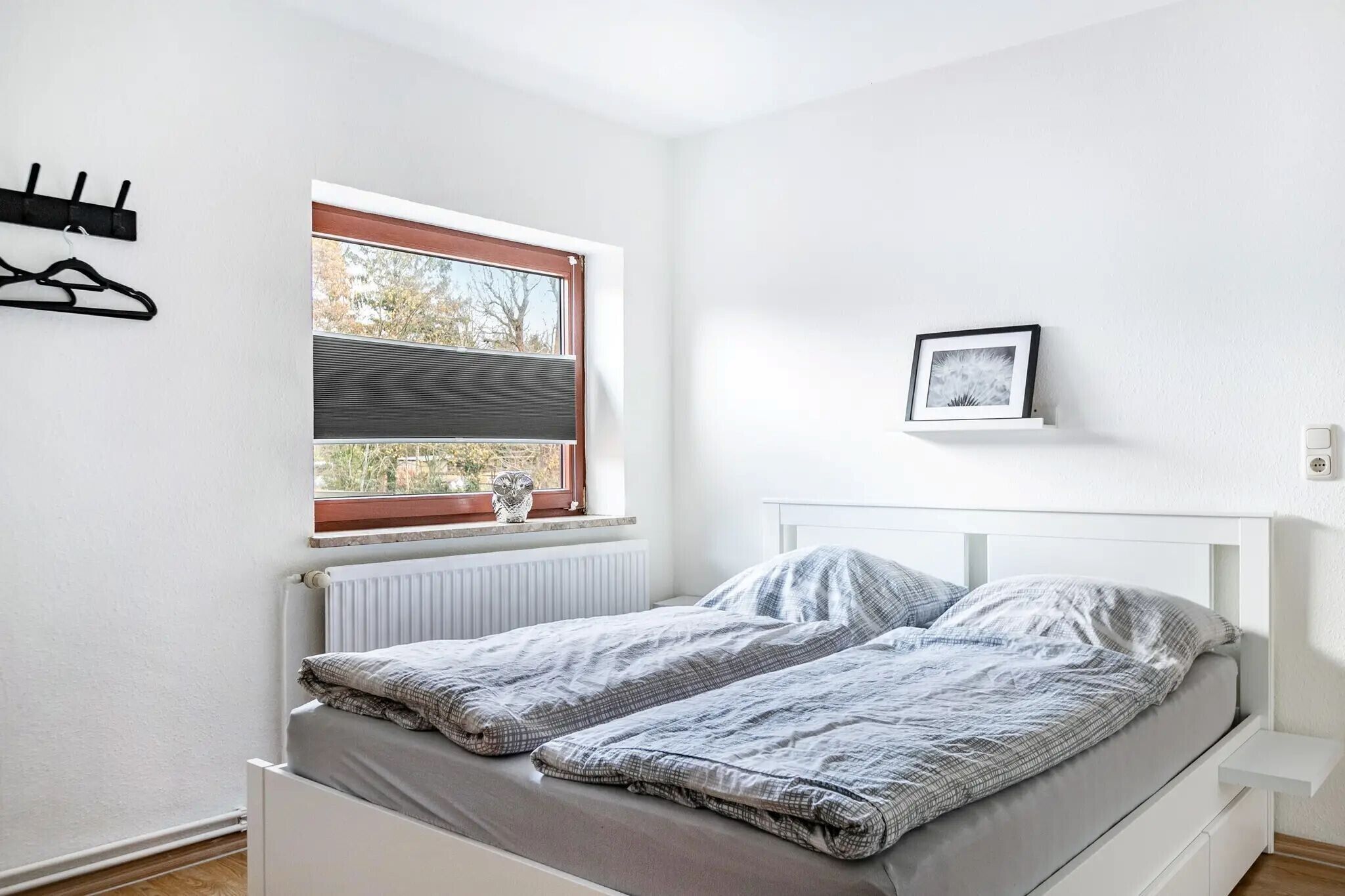 Desk, WiFi, bed sheets