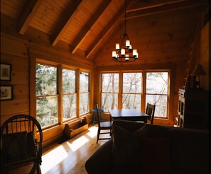 TV, fireplace - 4-bedroom cabin in marvelous Cloud Land/ 20 acres of private land with trails (Menlo)