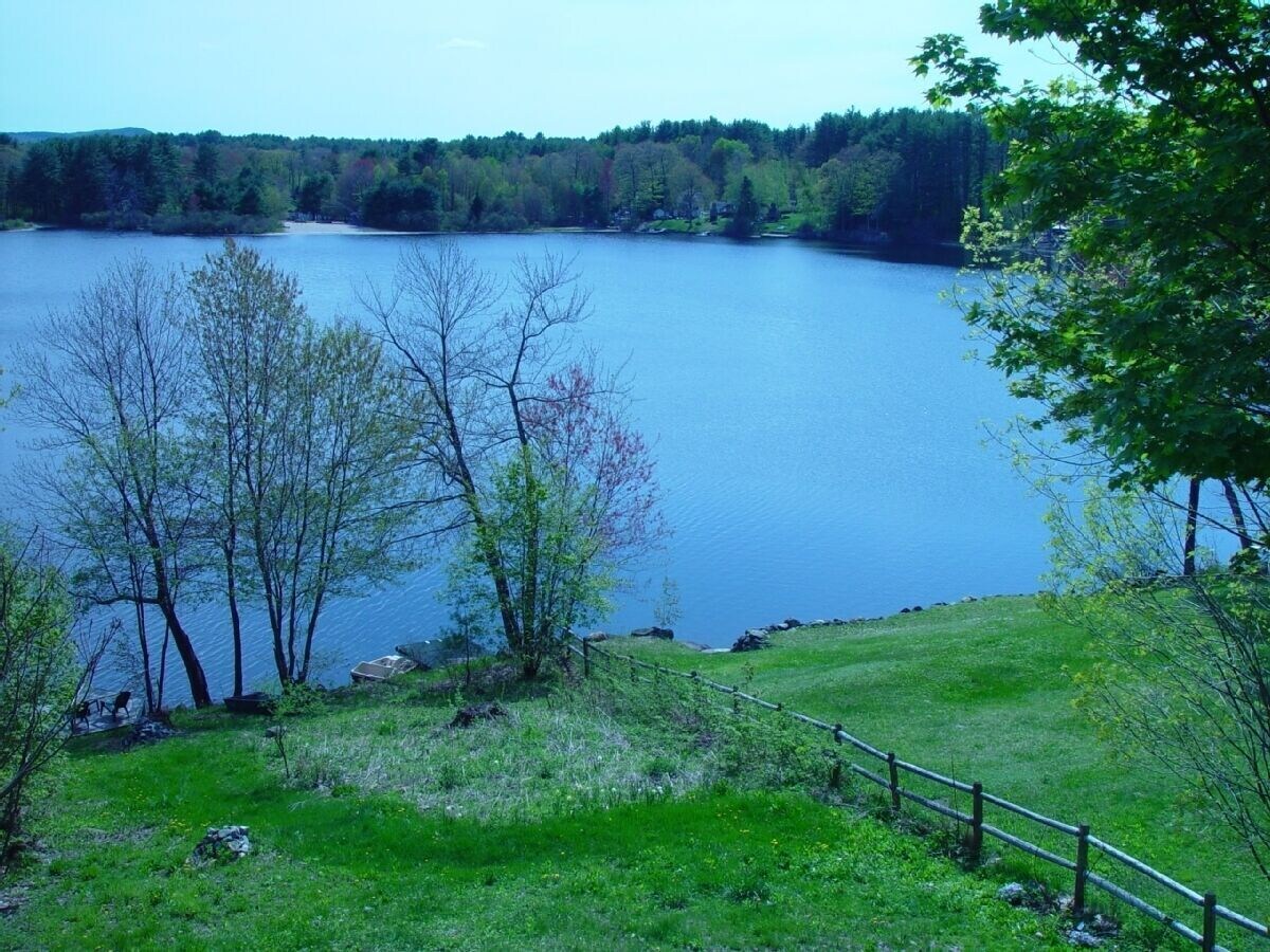 Imagen de perfil del propietario o de la propietaria