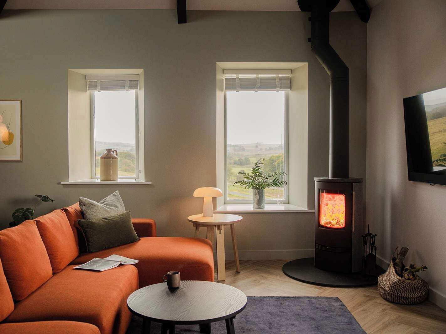 Télévision, cheminée, espaces bureaux