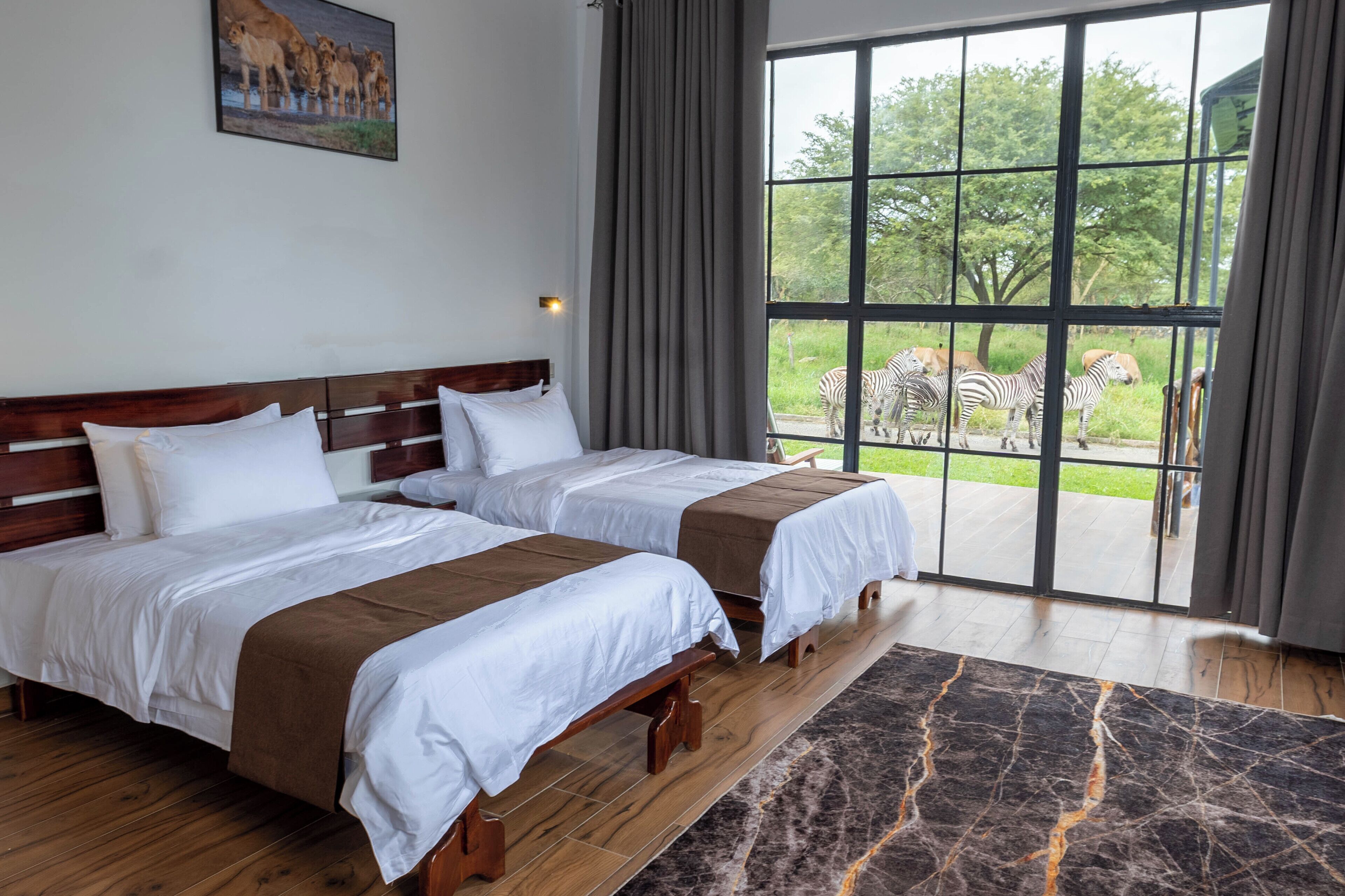 Une chambre d’hôtel avec deux lits, une grande fenêtre donnant sur un enclos où se trouvent des zèbres, un plancher en bois et un tapis à motifs de marbre.