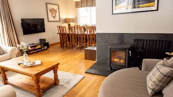 TV, fireplace