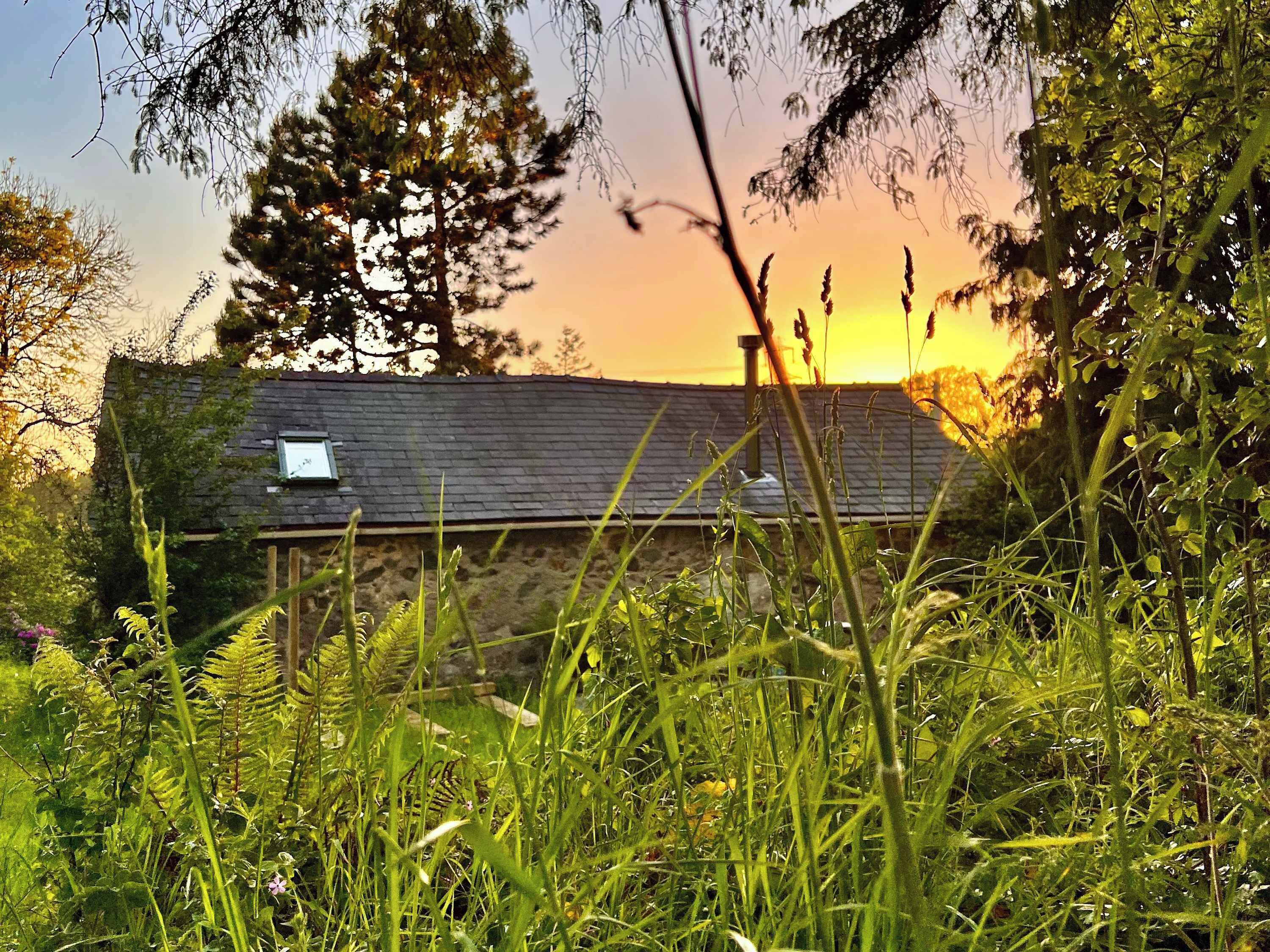 Overnatningsstedets område