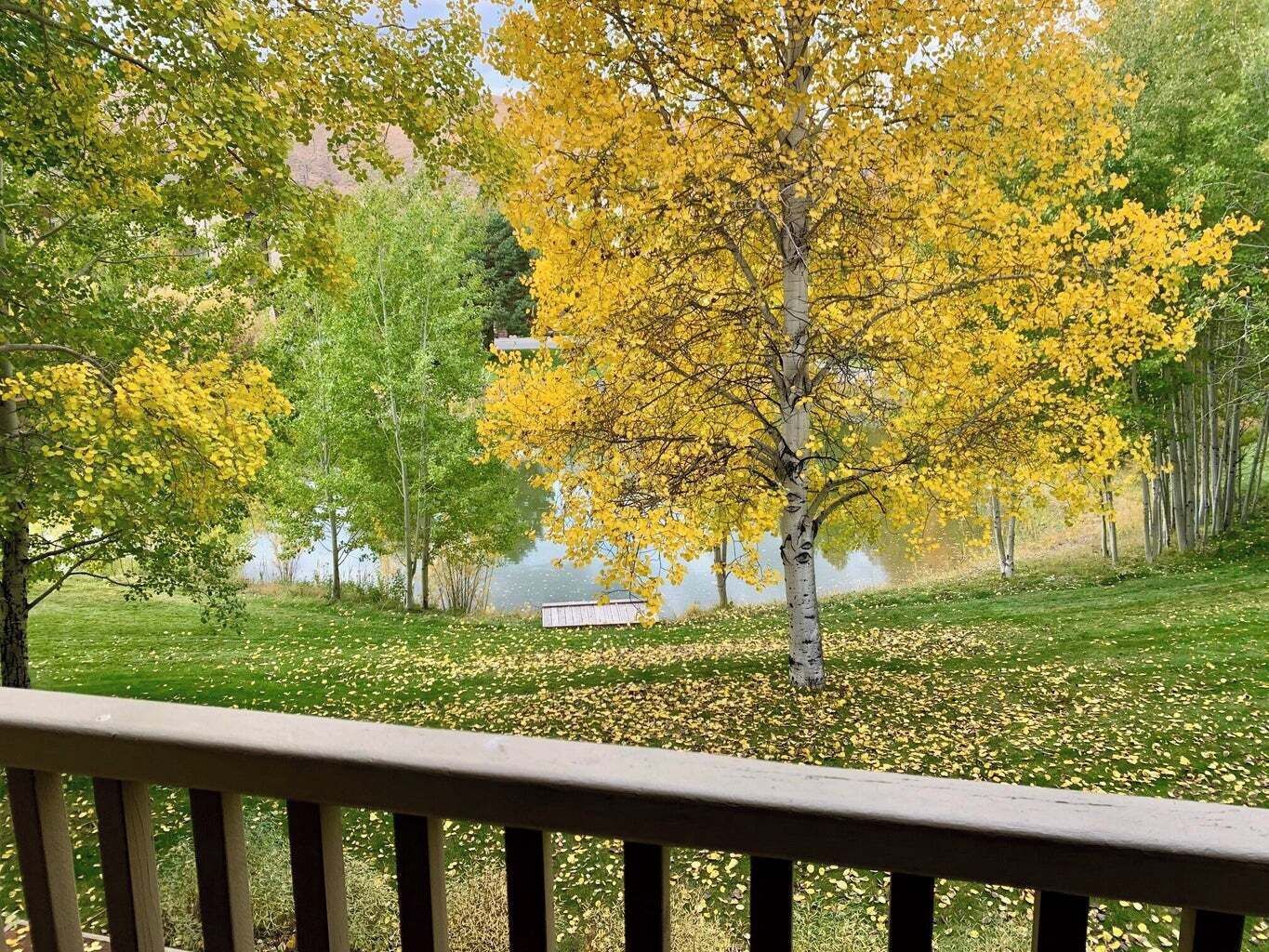 A deck with a view of a lake surrounded by trees with yellow leaves.