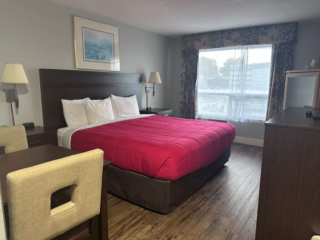 Rom – basic, 1 queensize-seng, ikke-røyk | Wi-fi (inkludert) og sengetøy