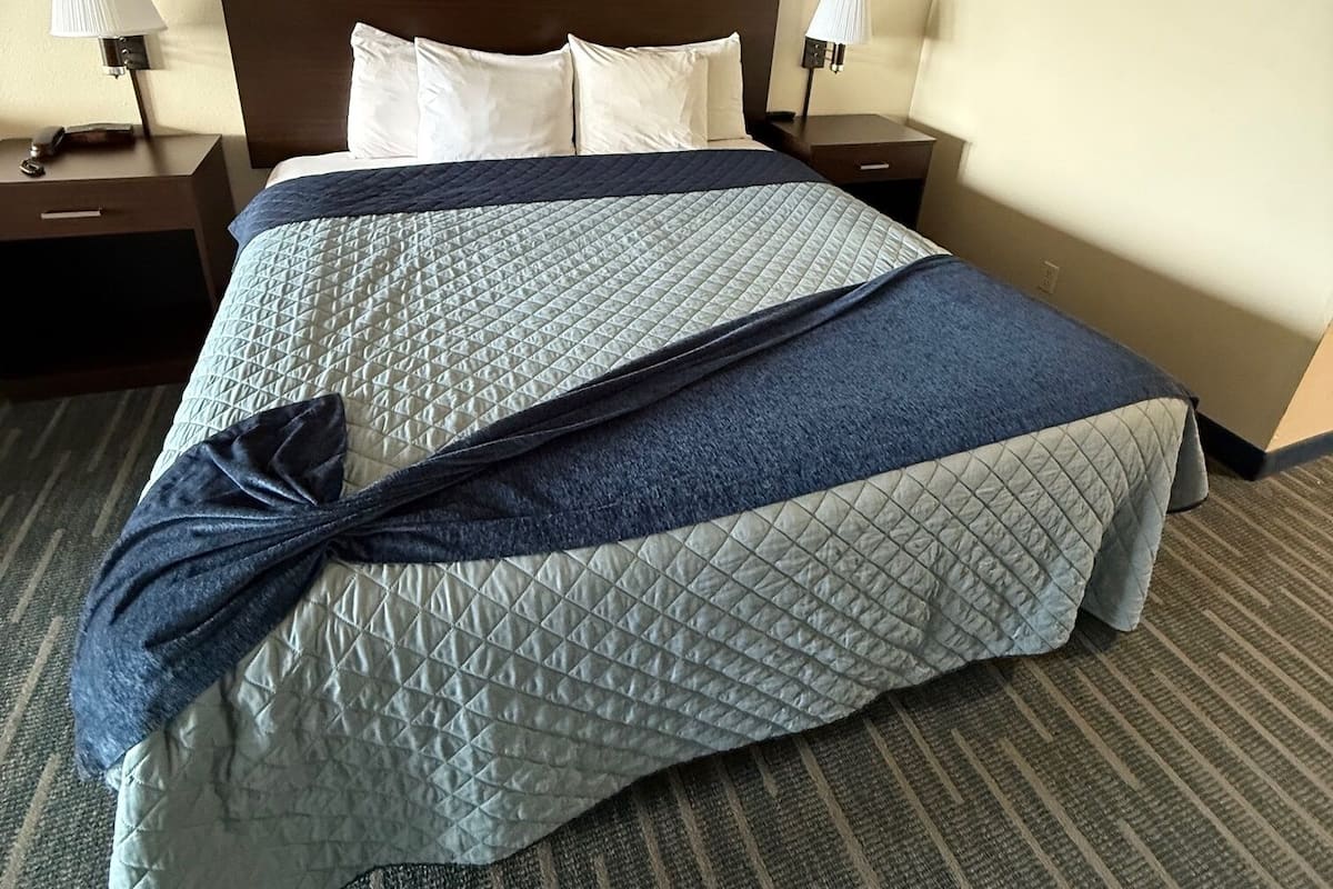 Single Room, 1 King Bed, Non Smoking | Desk, free WiFi