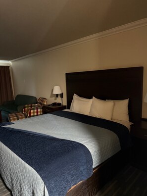 Single Room, 1 King Bed, Non Smoking