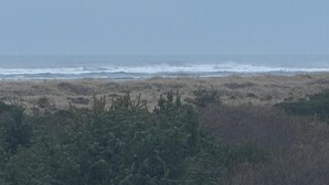 A coastal landscape with a beach, dunes, and sparse vegetation. - OceanShores Inn  (Ocean Shores)