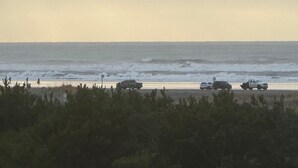 A beach scene with vehicles parked along the shore, vegetation in the foreground, and the ocean in the background. - OceanShores Inn  (Ocean Shores)