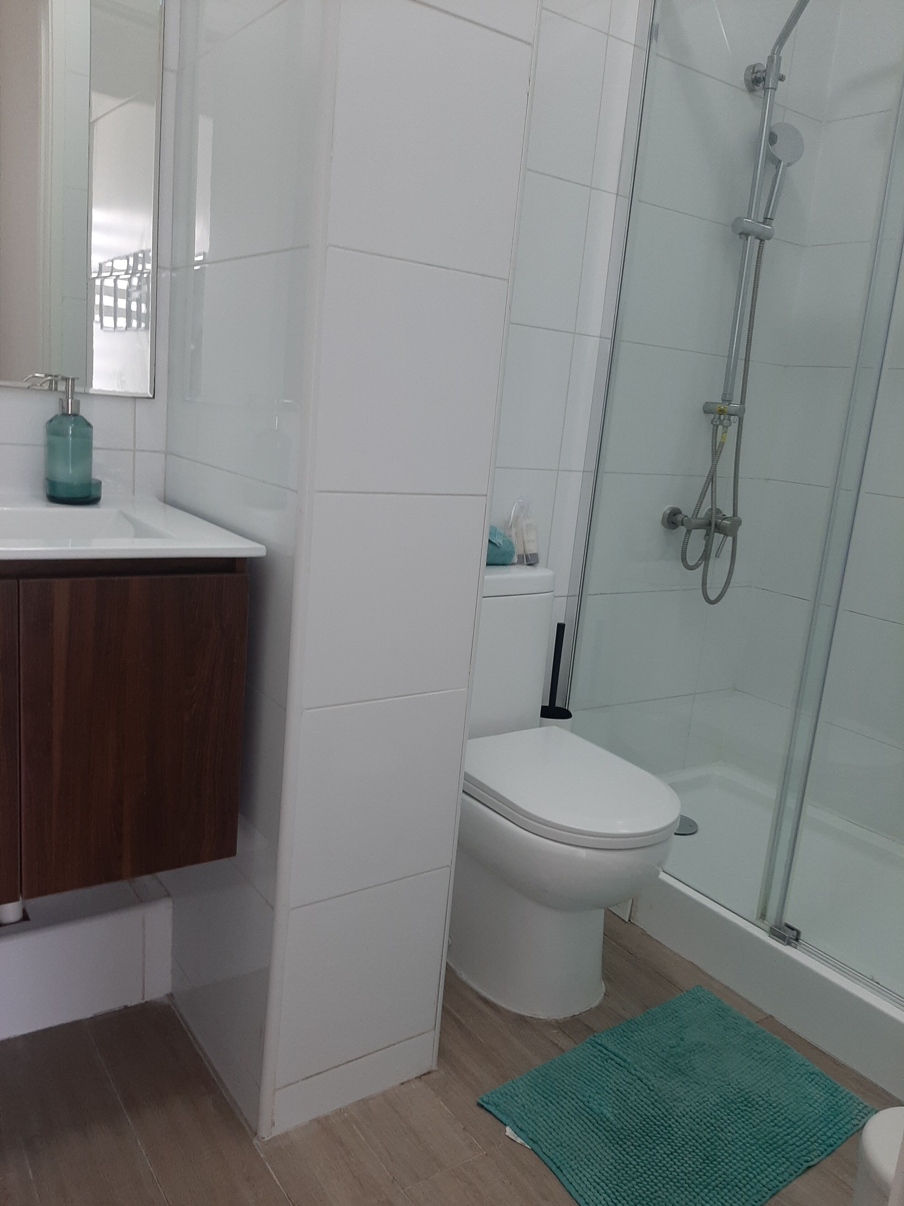 Shower, hair dryer, towels, toilet paper
