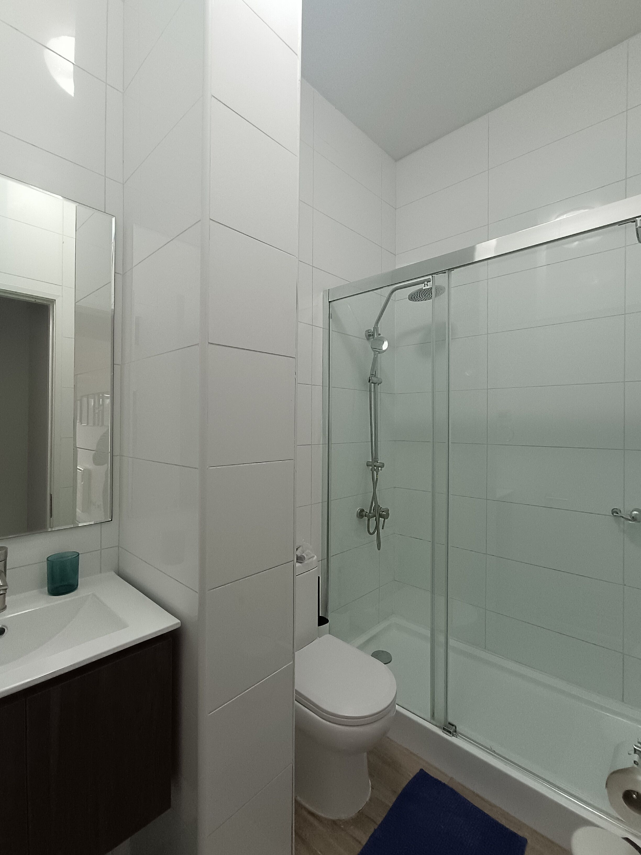 Secadora de cabello, toallas, papel de baño 