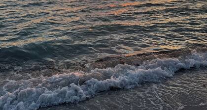 Modern Coastal Villa • Private Fenced Yard • Minutes to the Beach