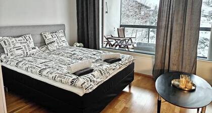 A cozy and modern studio in a prime location in Raunistula, Turku.