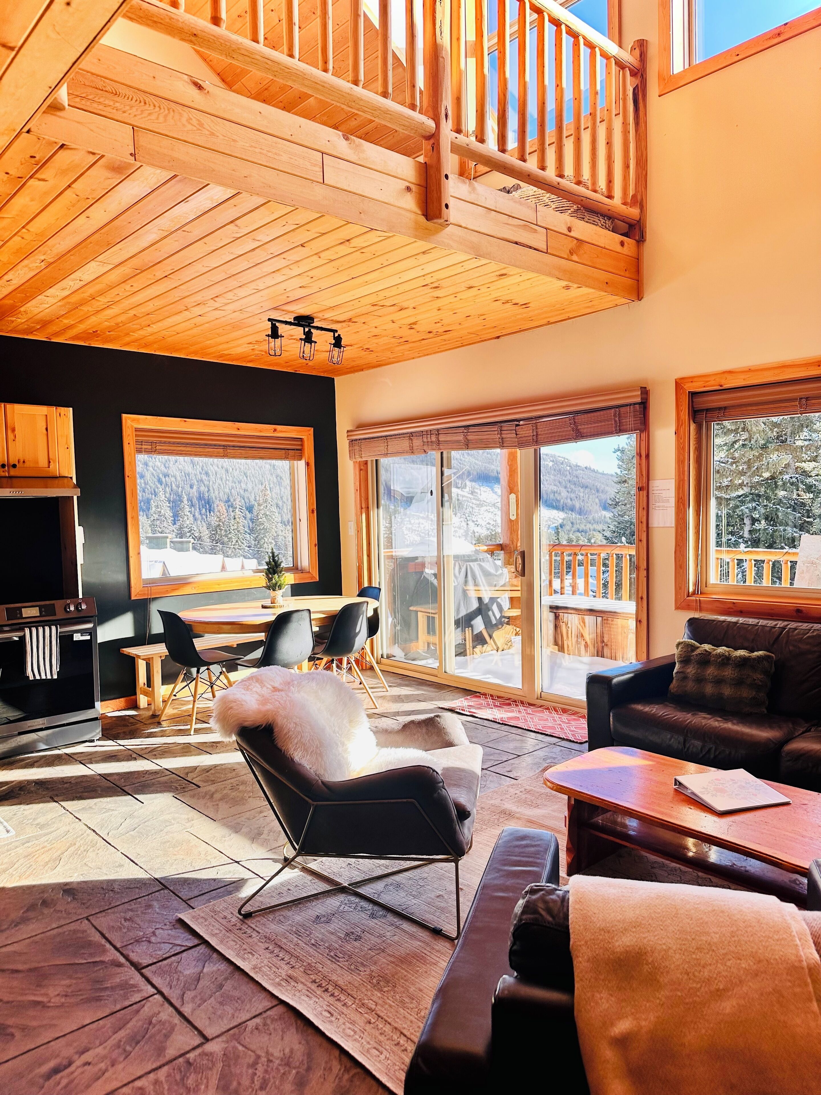 Smart TV, fireplace, DVD player, books