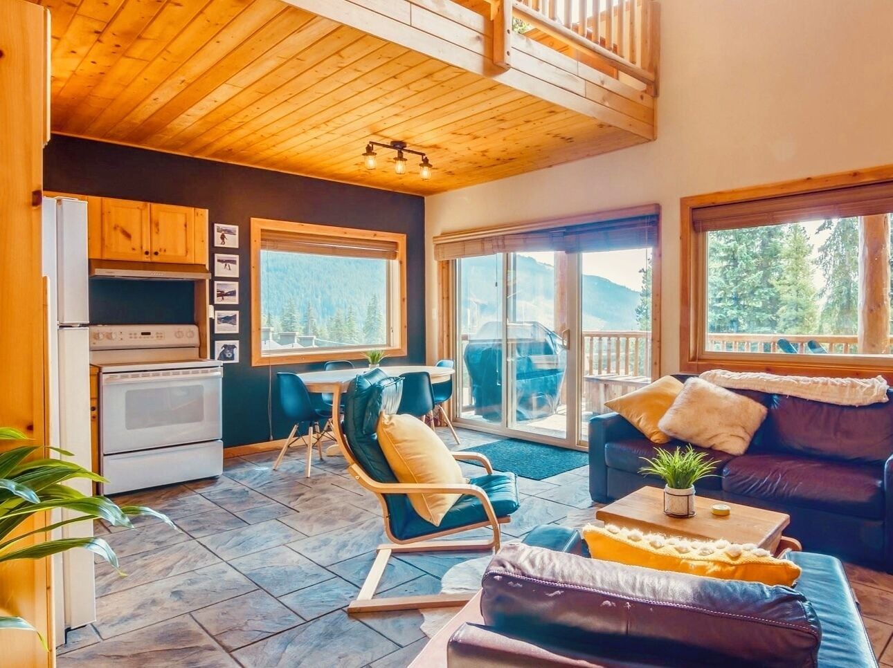 智能电视、壁炉、DVD 播放器、书